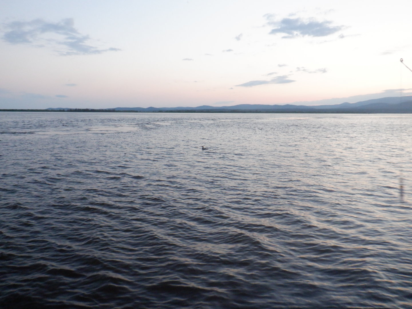 DSCF8343.JPG