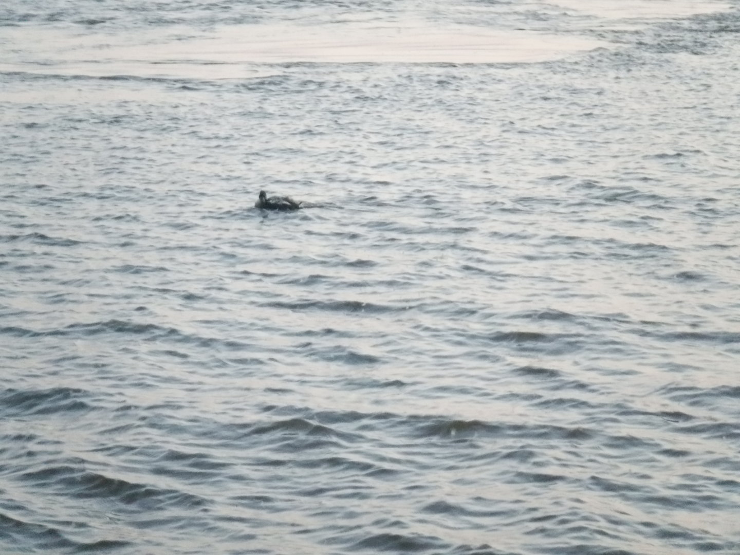 DSCF8344.JPG