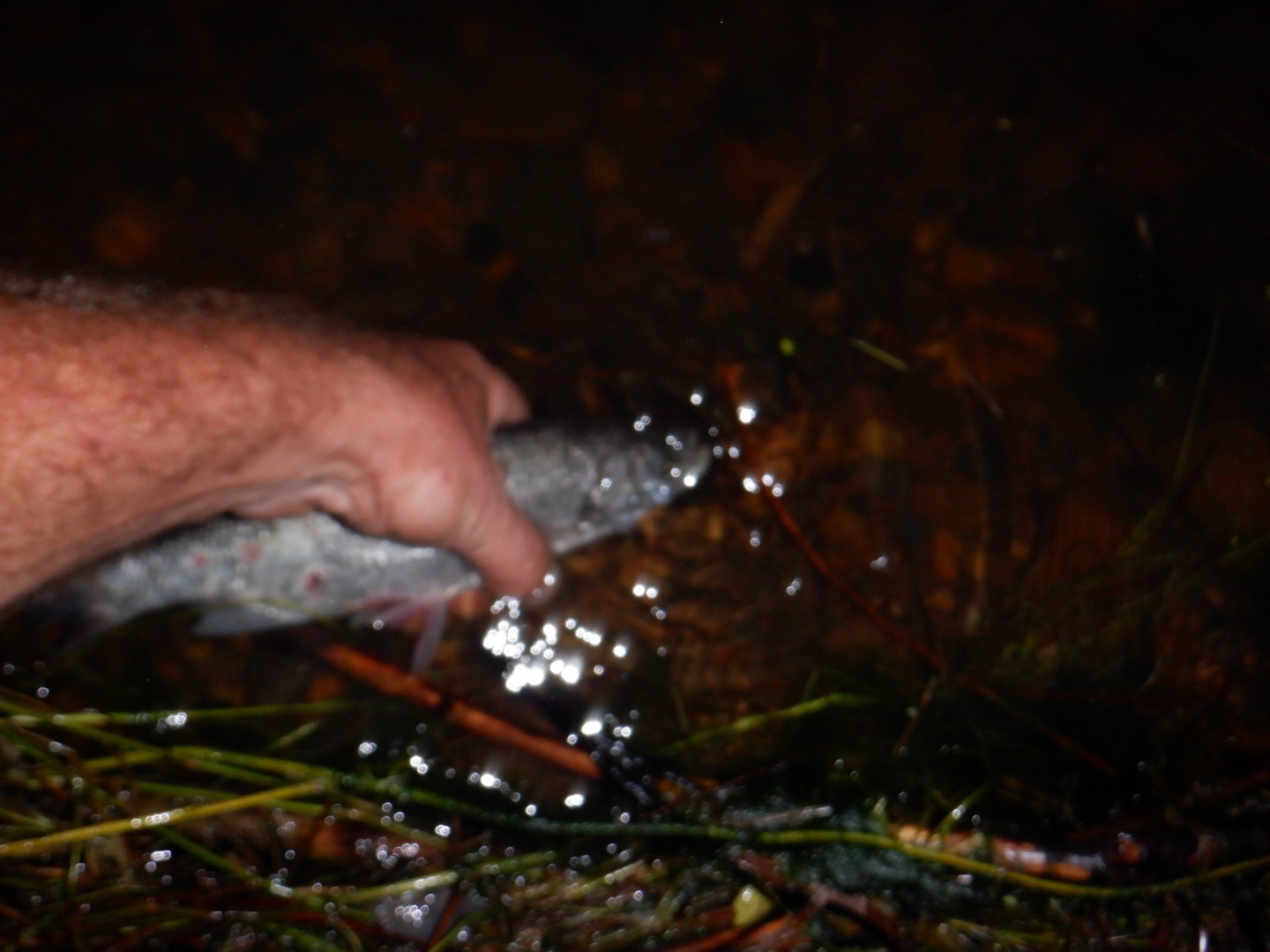 DSCF8354.JPG
