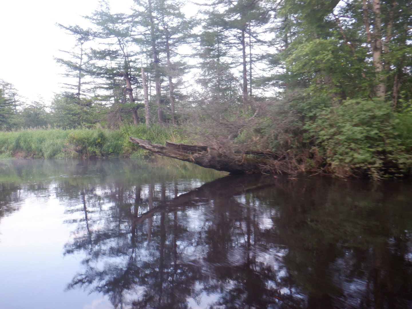 DSCF8365.JPG