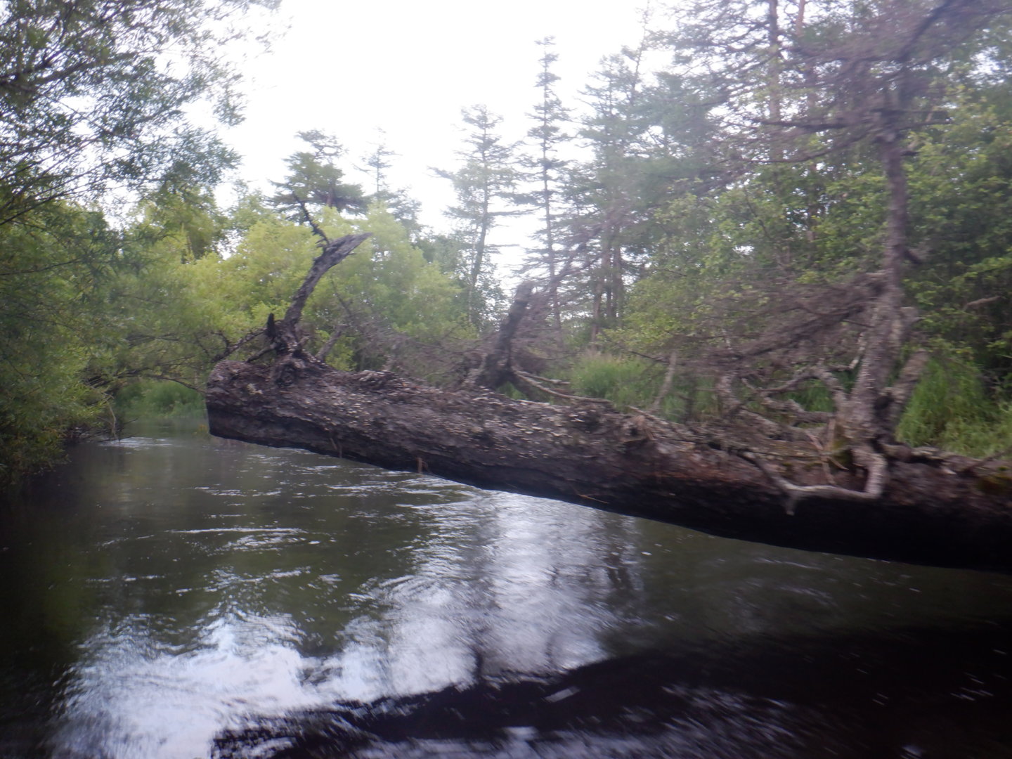 DSCF8366.JPG