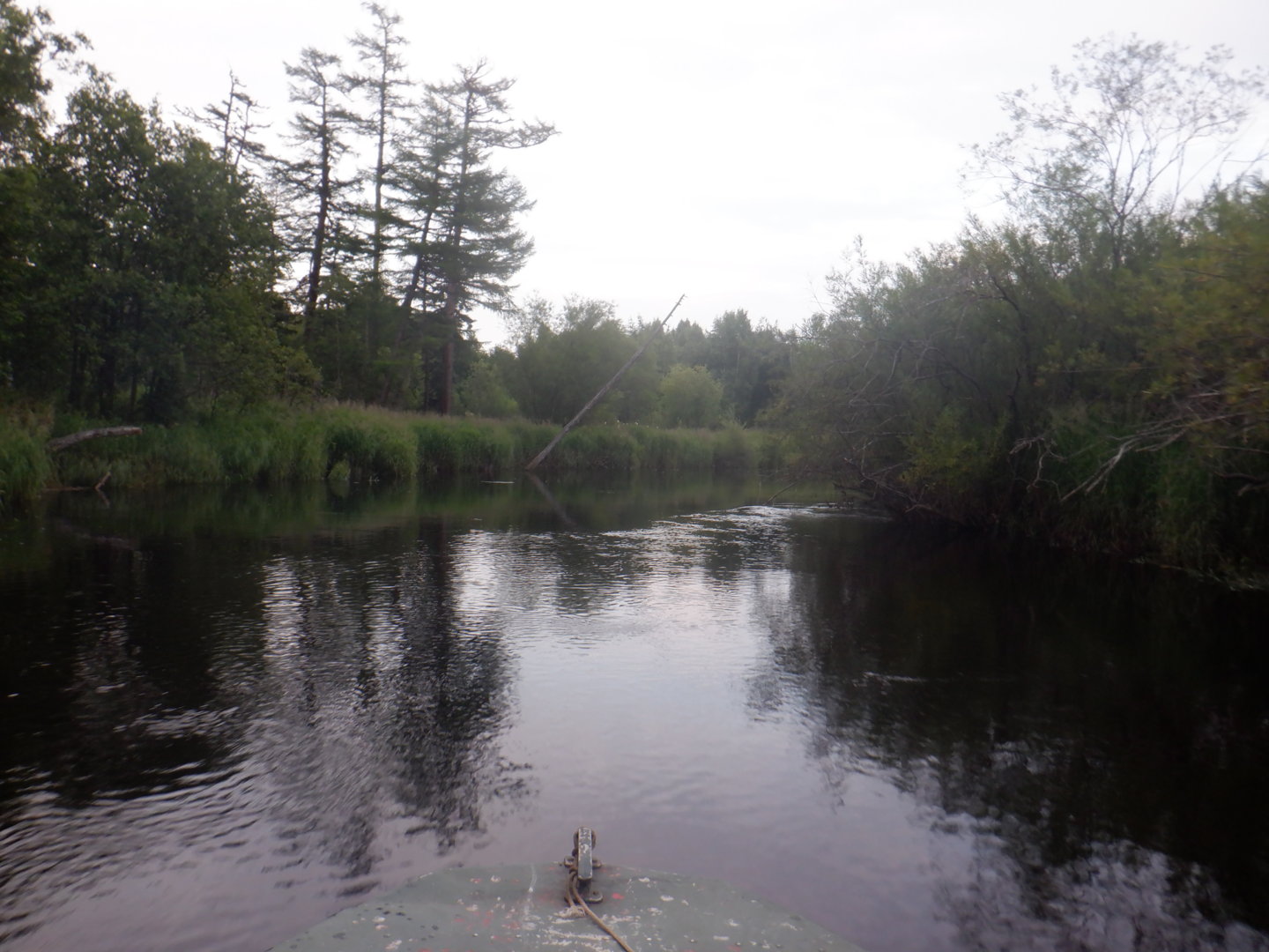 DSCF8369.JPG