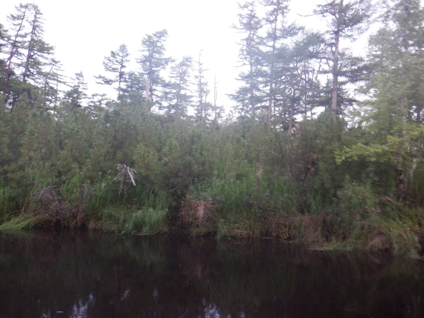 DSCF8370.JPG