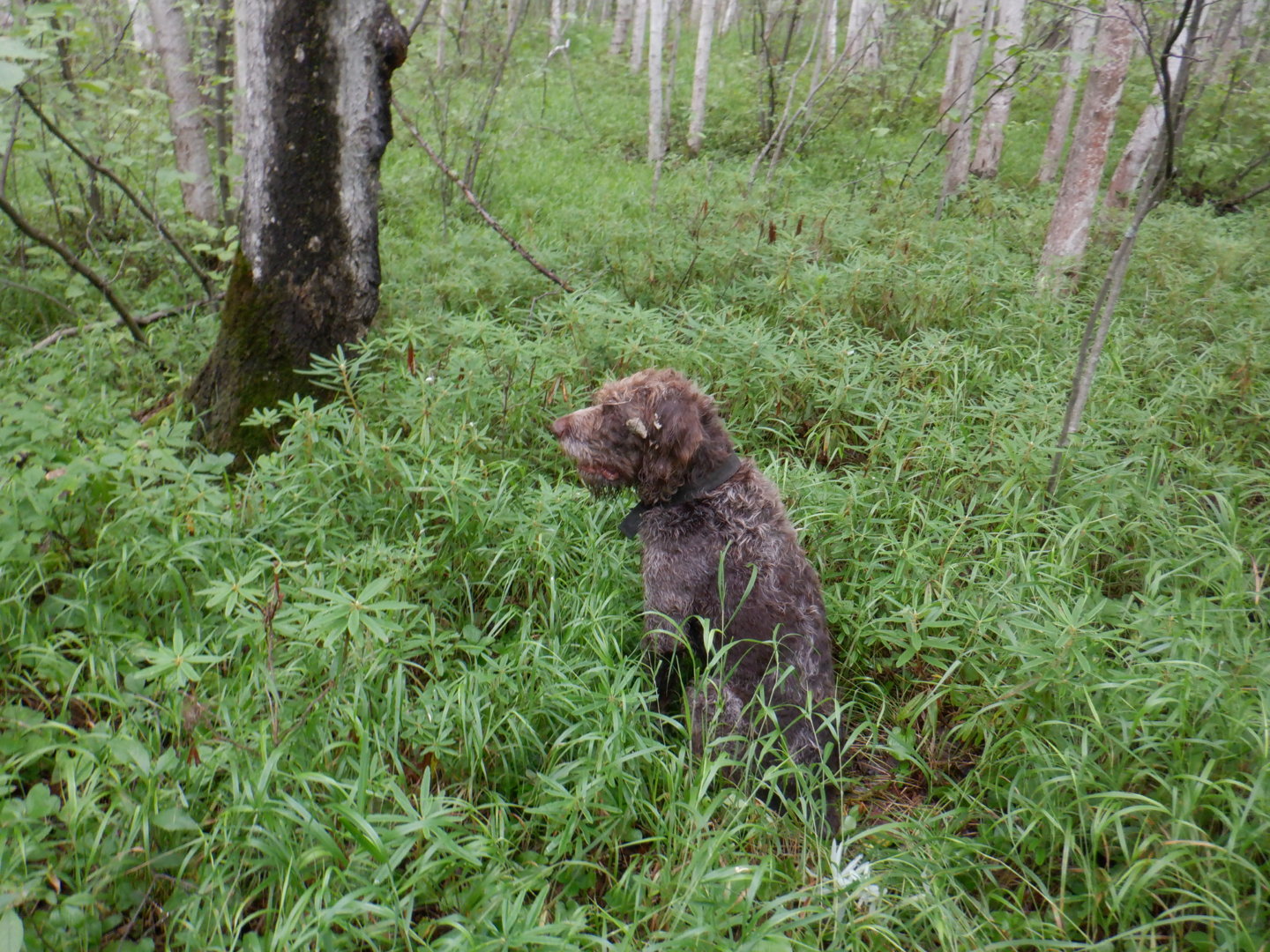DSCF8387.JPG