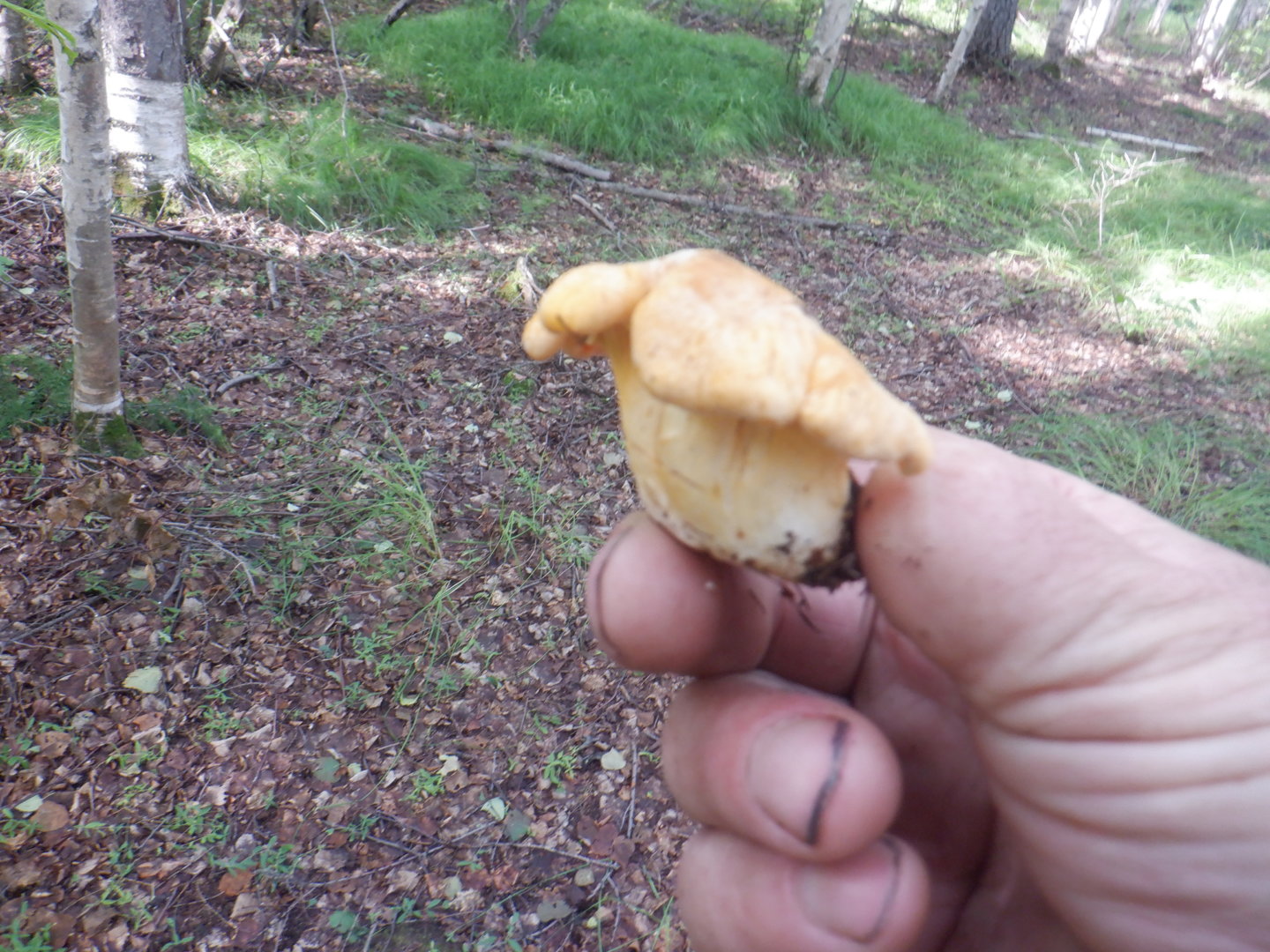 DSCF8395.JPG