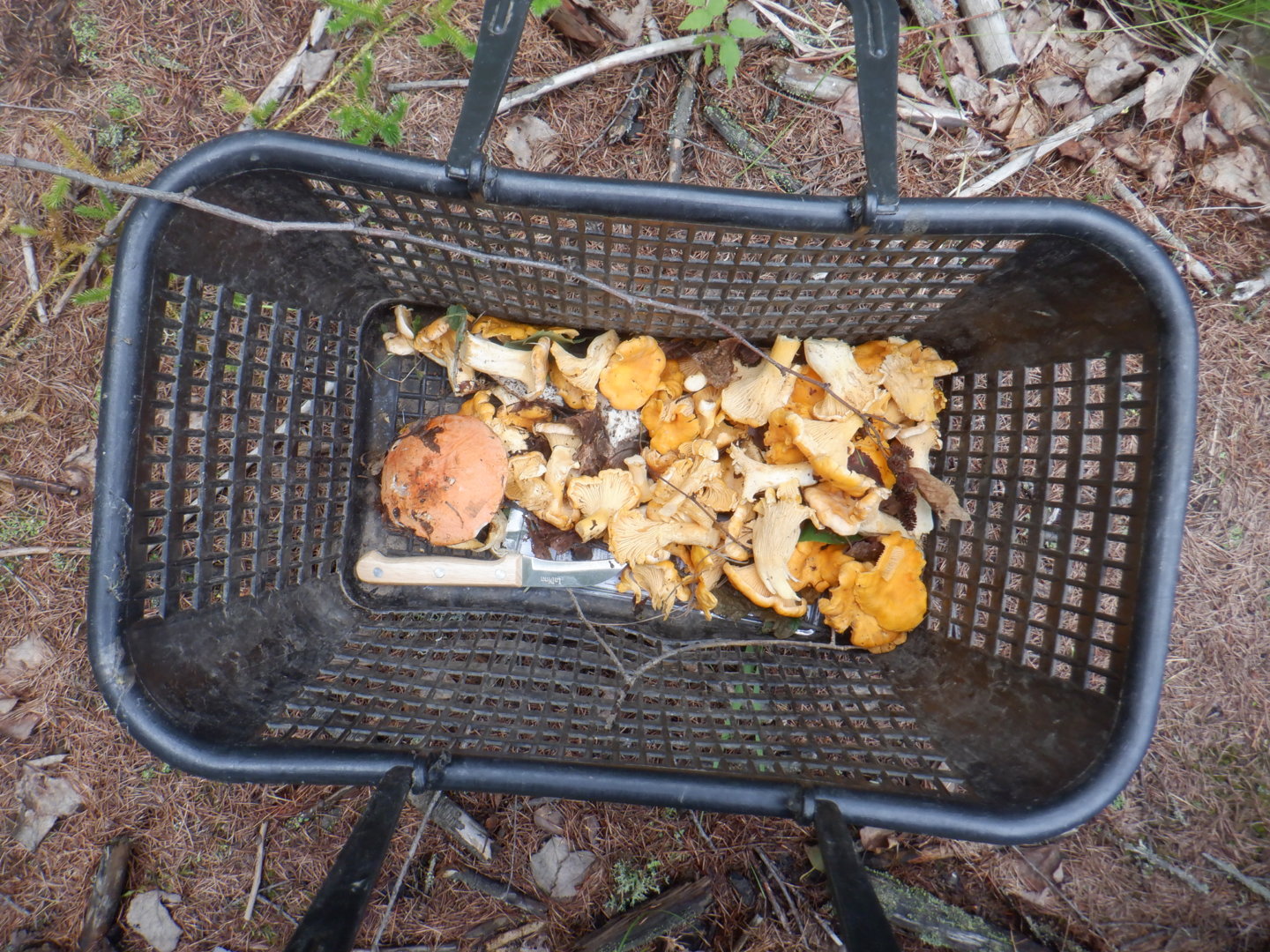 DSCF8412.JPG