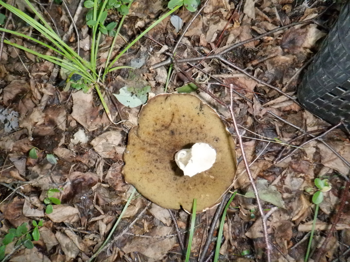DSCF8424.JPG