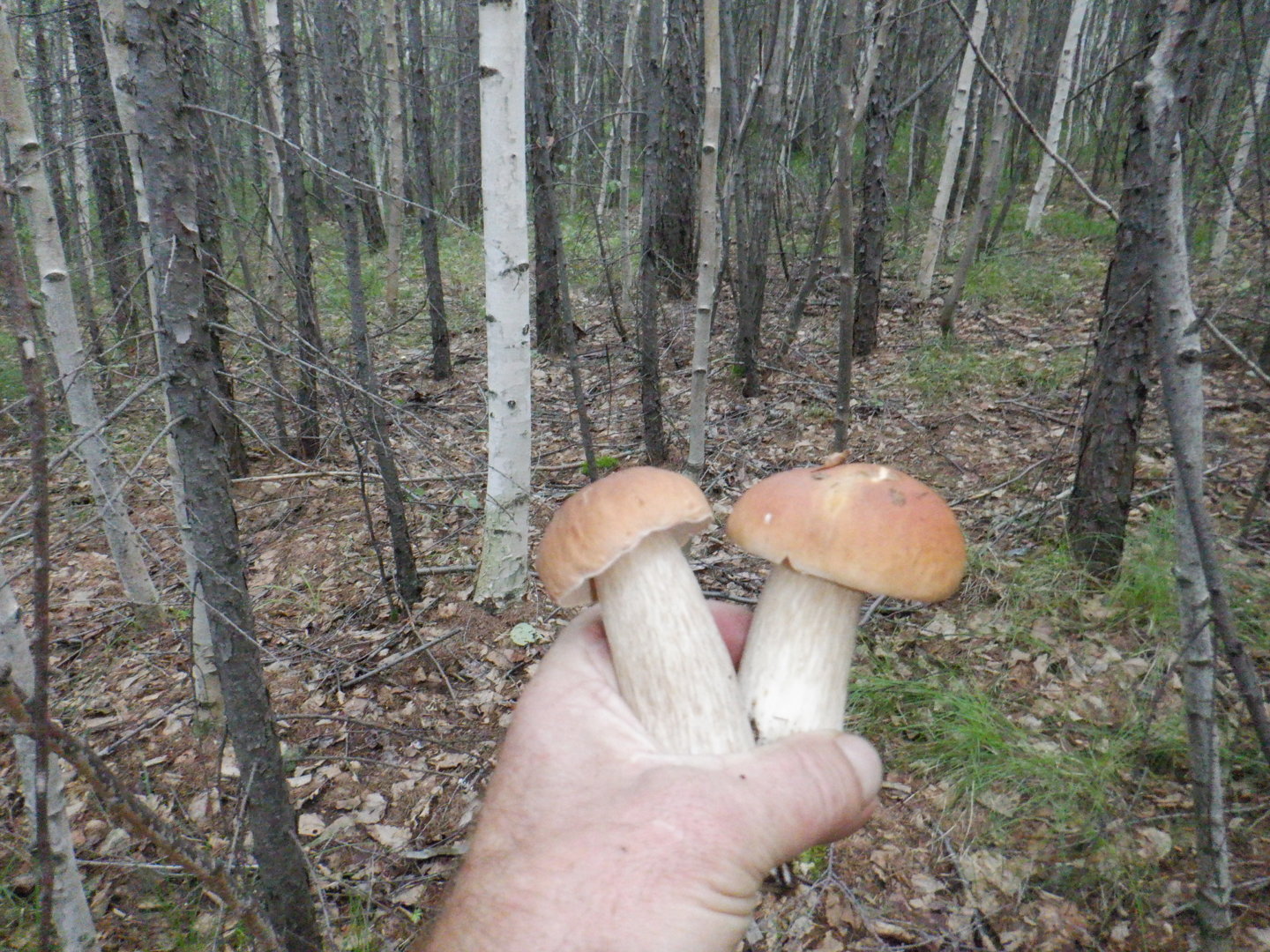 DSCF8427.JPG