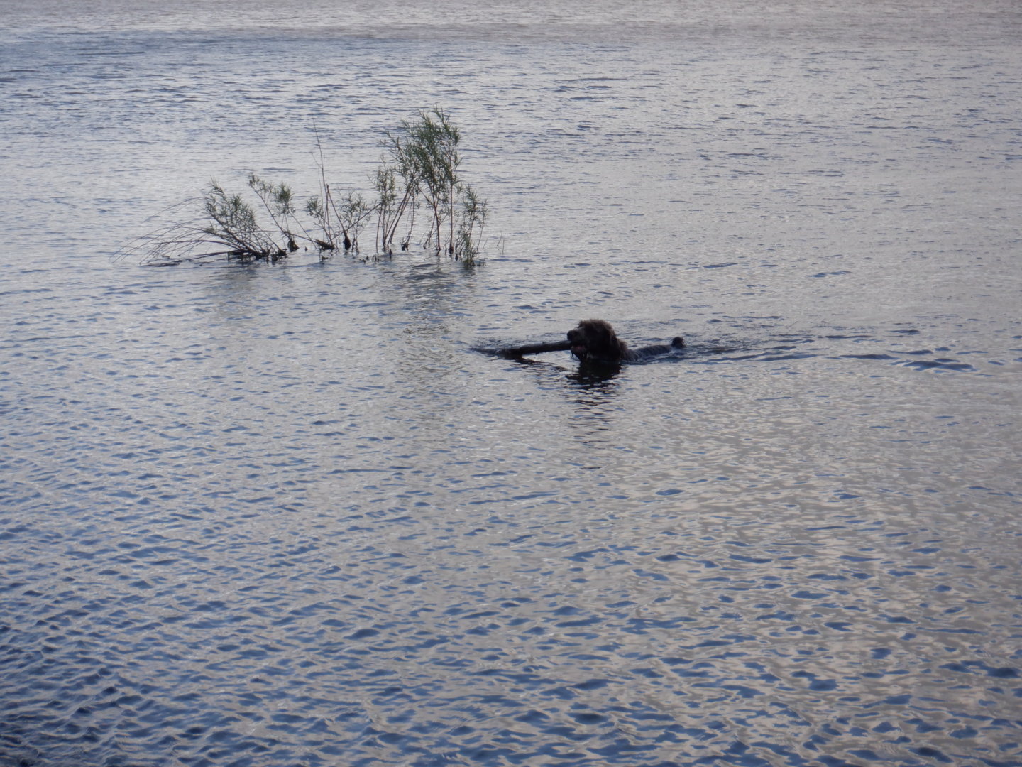 DSCF8433.JPG