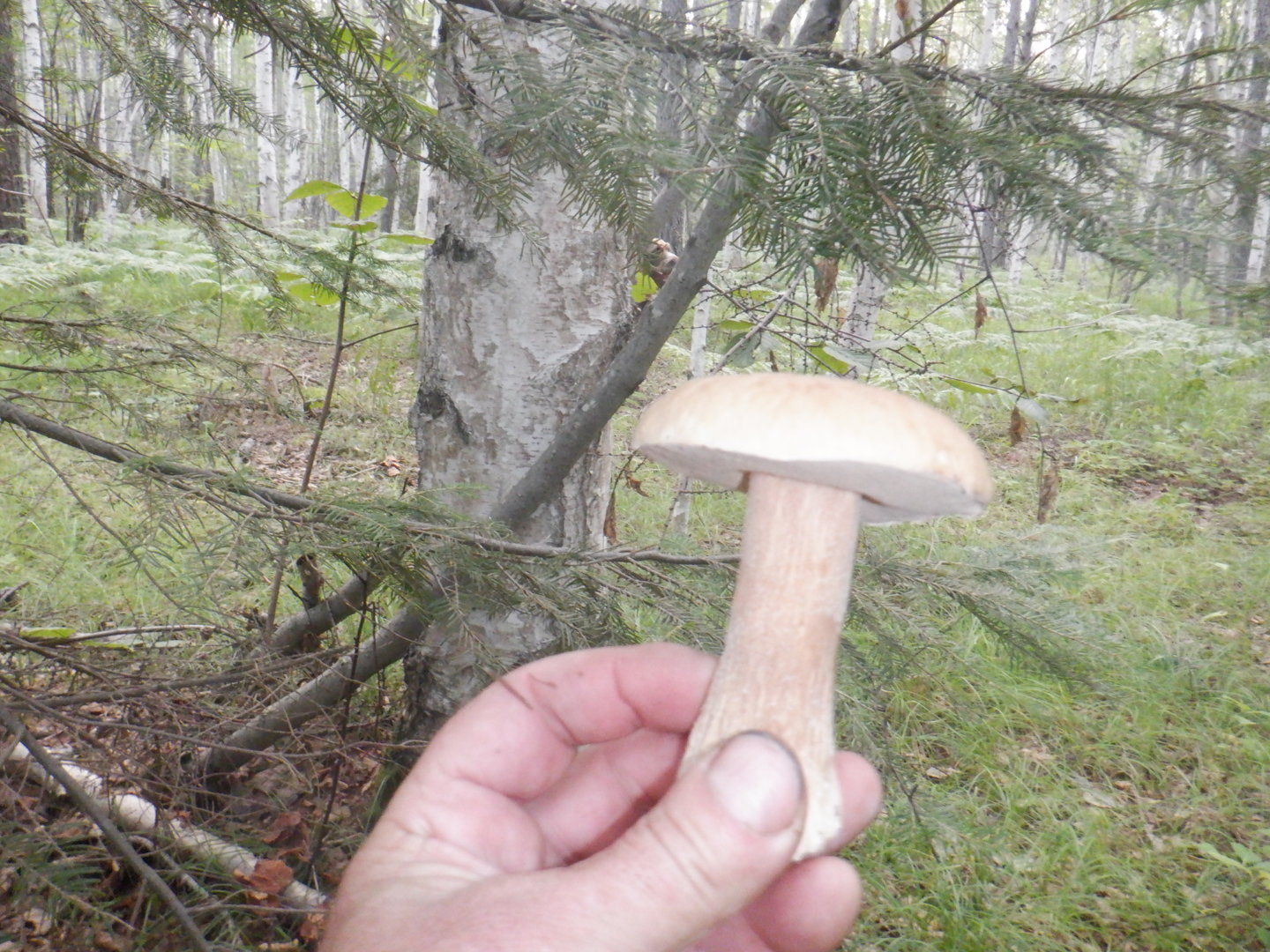 DSCF8447.JPG