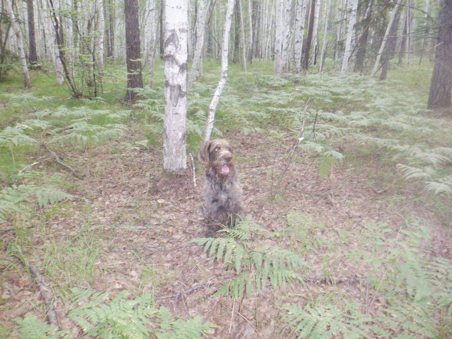 DSCF8448.JPG