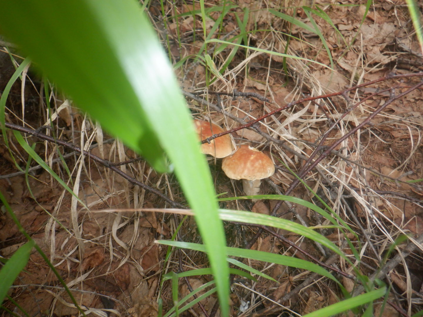 DSCF8453.JPG