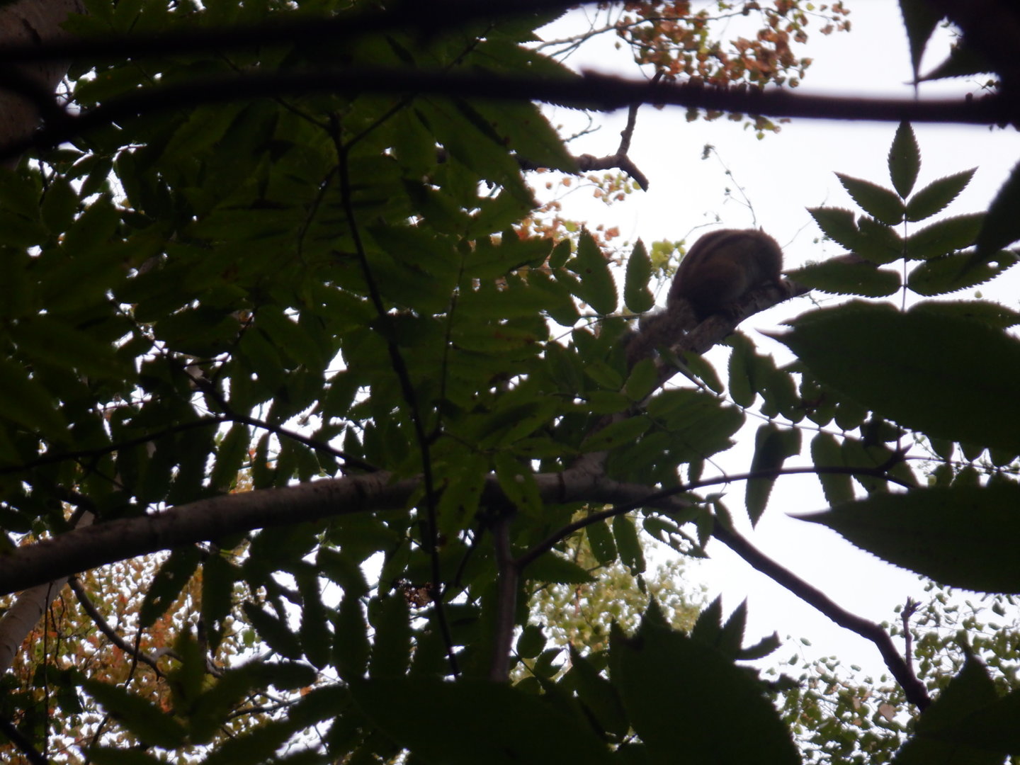 DSCF8471.JPG