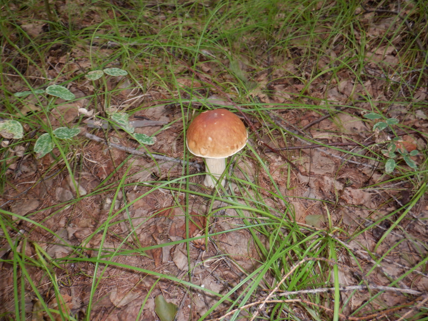 DSCF8474.JPG