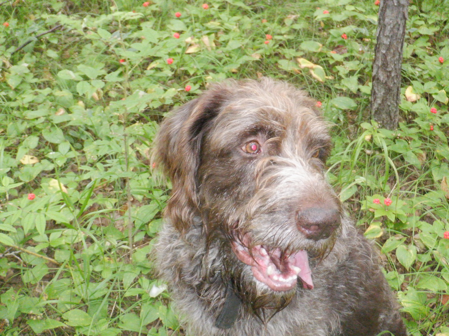 DSCF8479.JPG