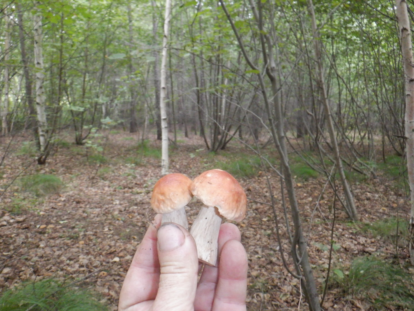 DSCF8484.JPG