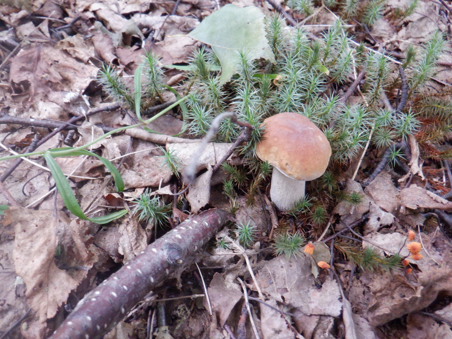 DSCF8493.JPG