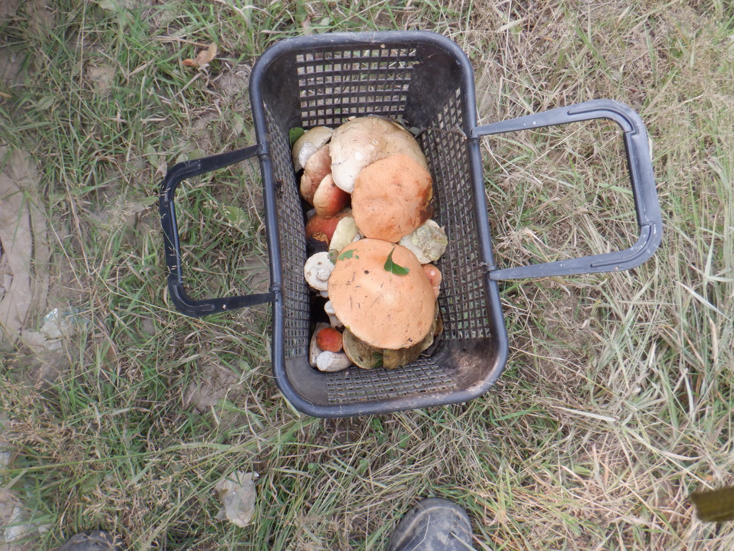 DSCF8497.JPG