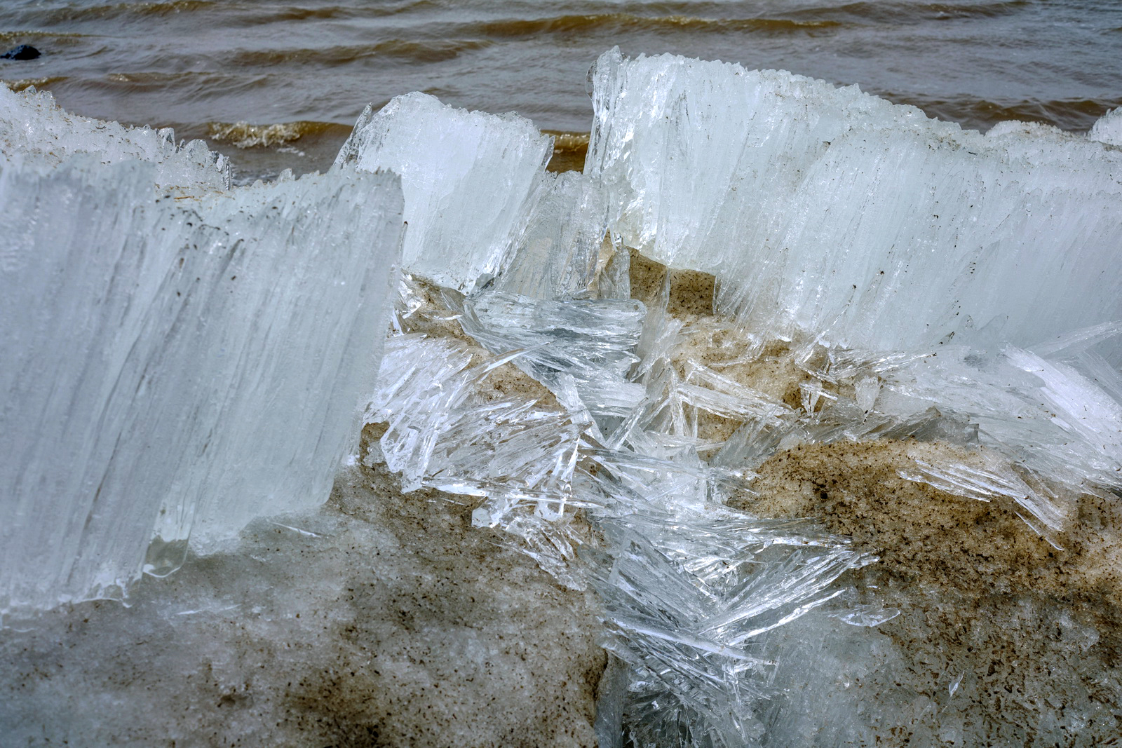 DSCF8505.jpg