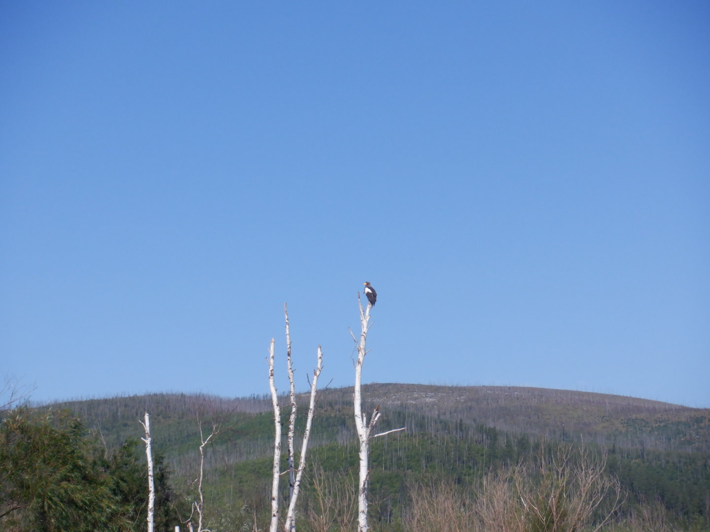 DSCF8627.JPG