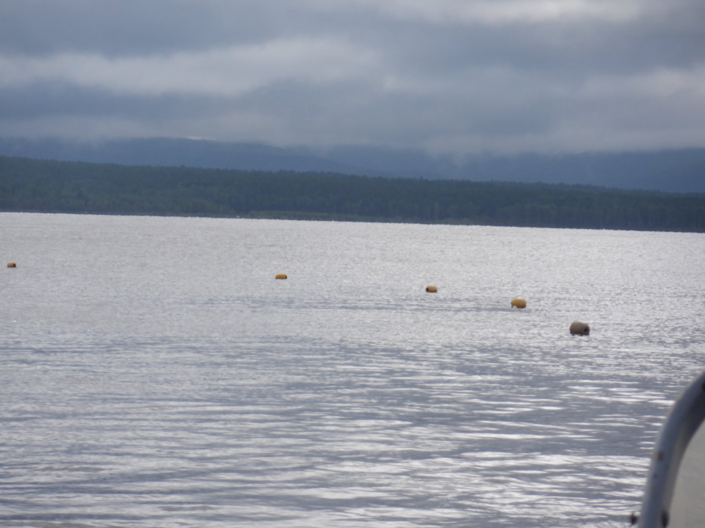 DSCF8629.JPG