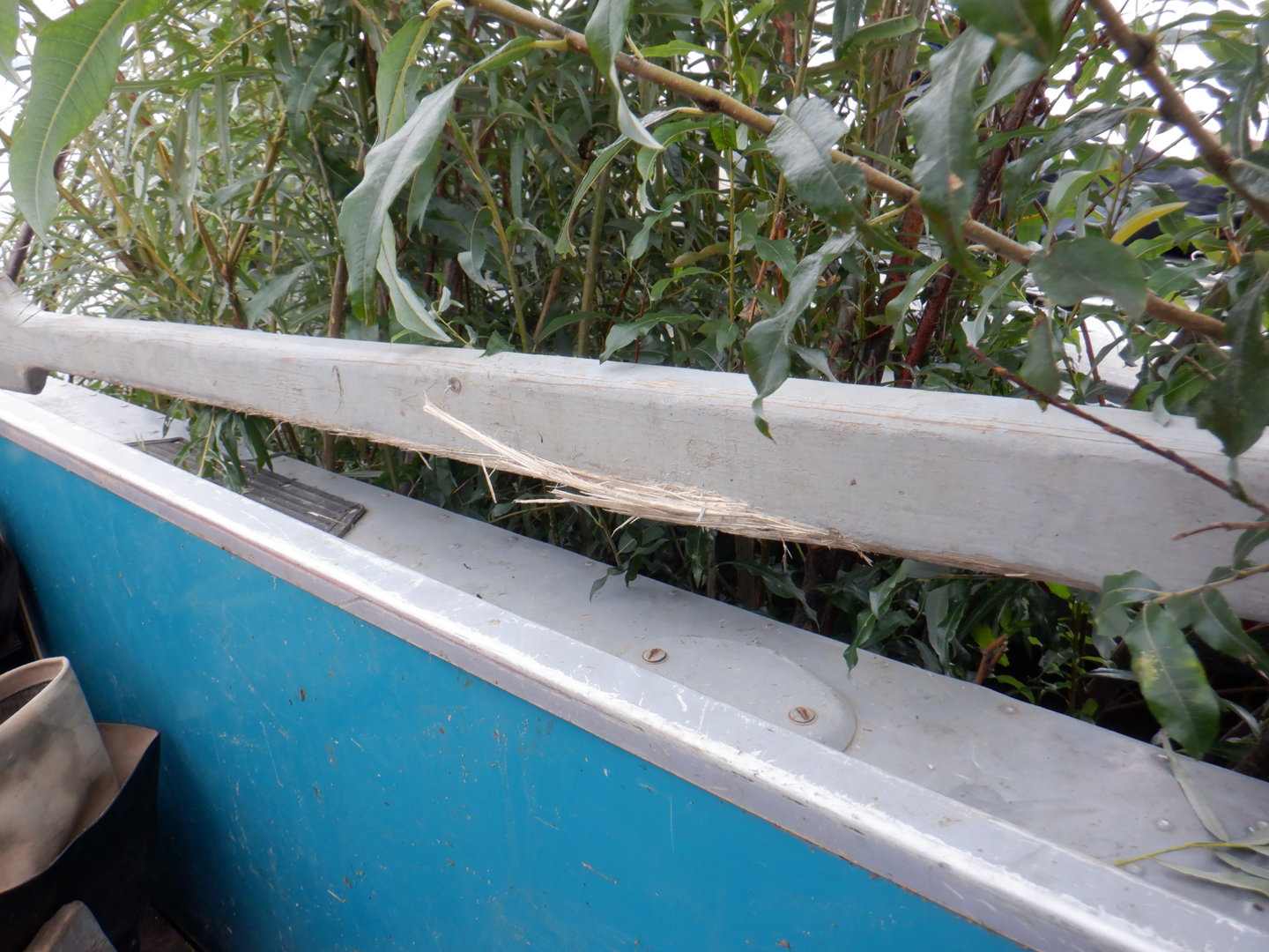 DSCF8635.JPG