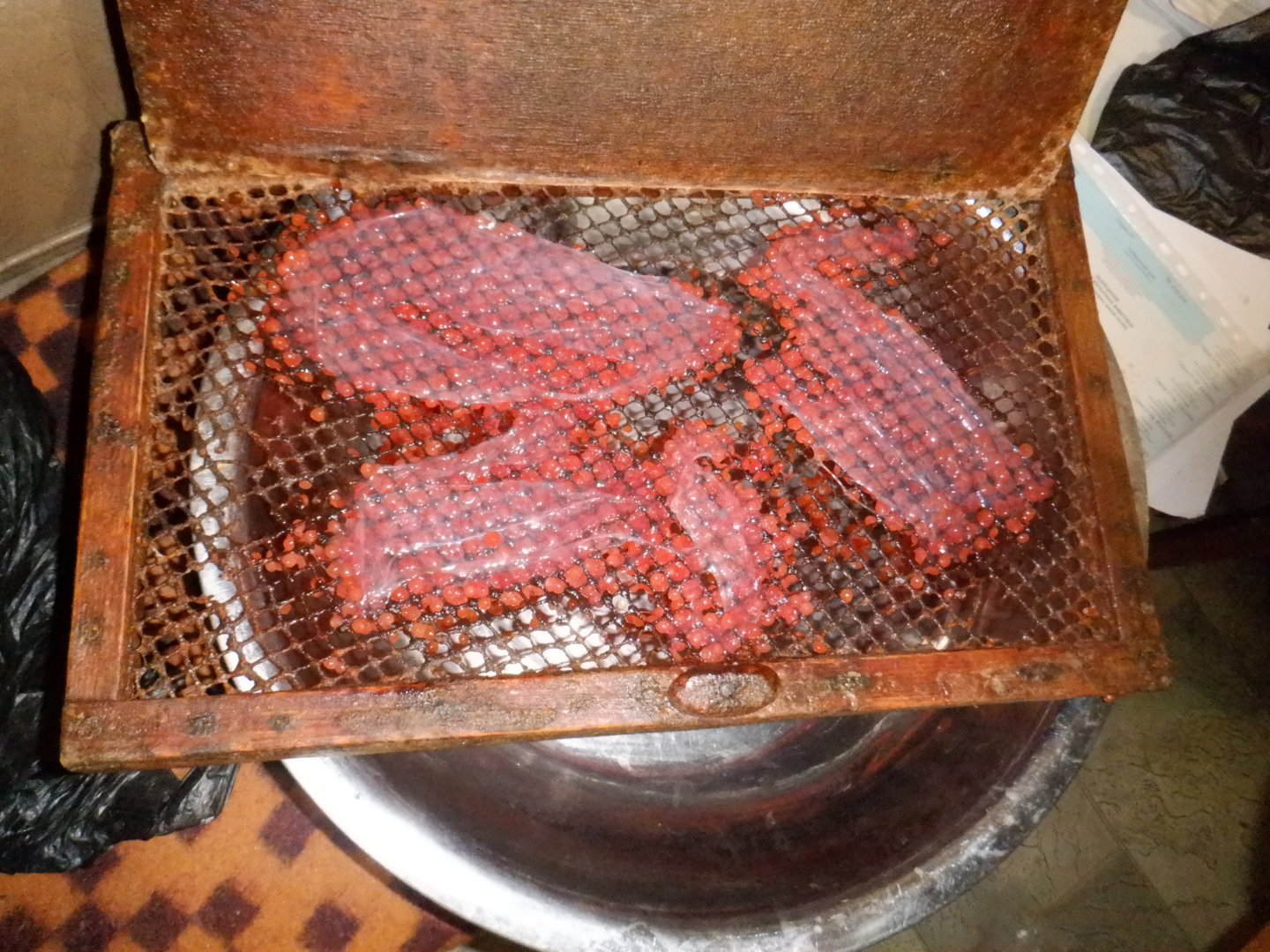 DSCF8637.JPG