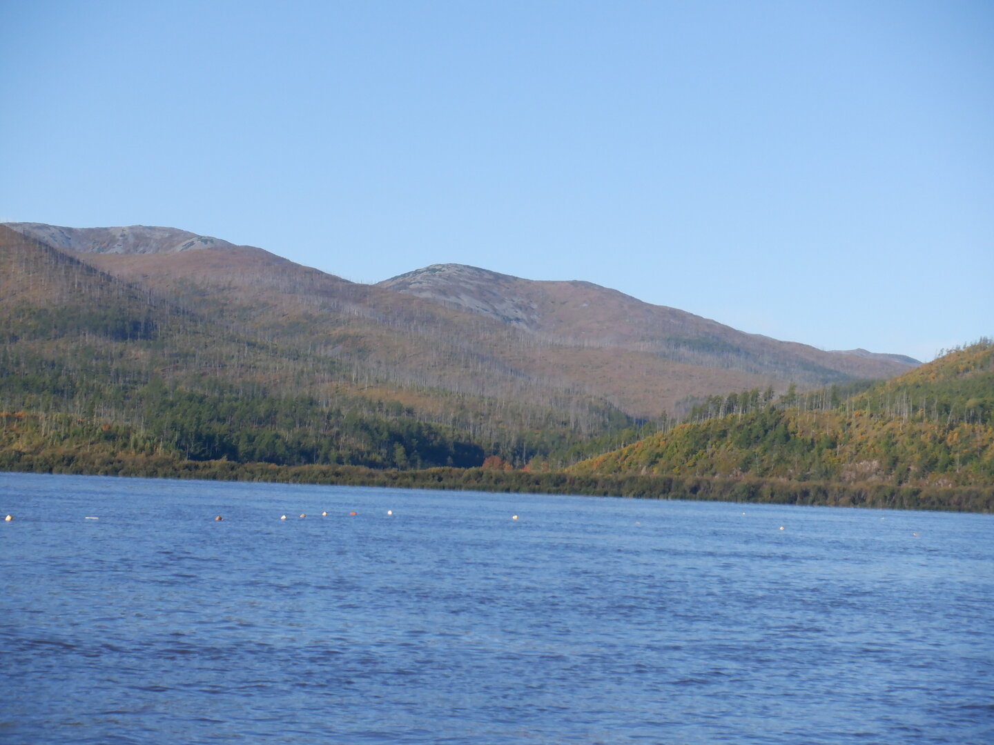 DSCF8685.JPG