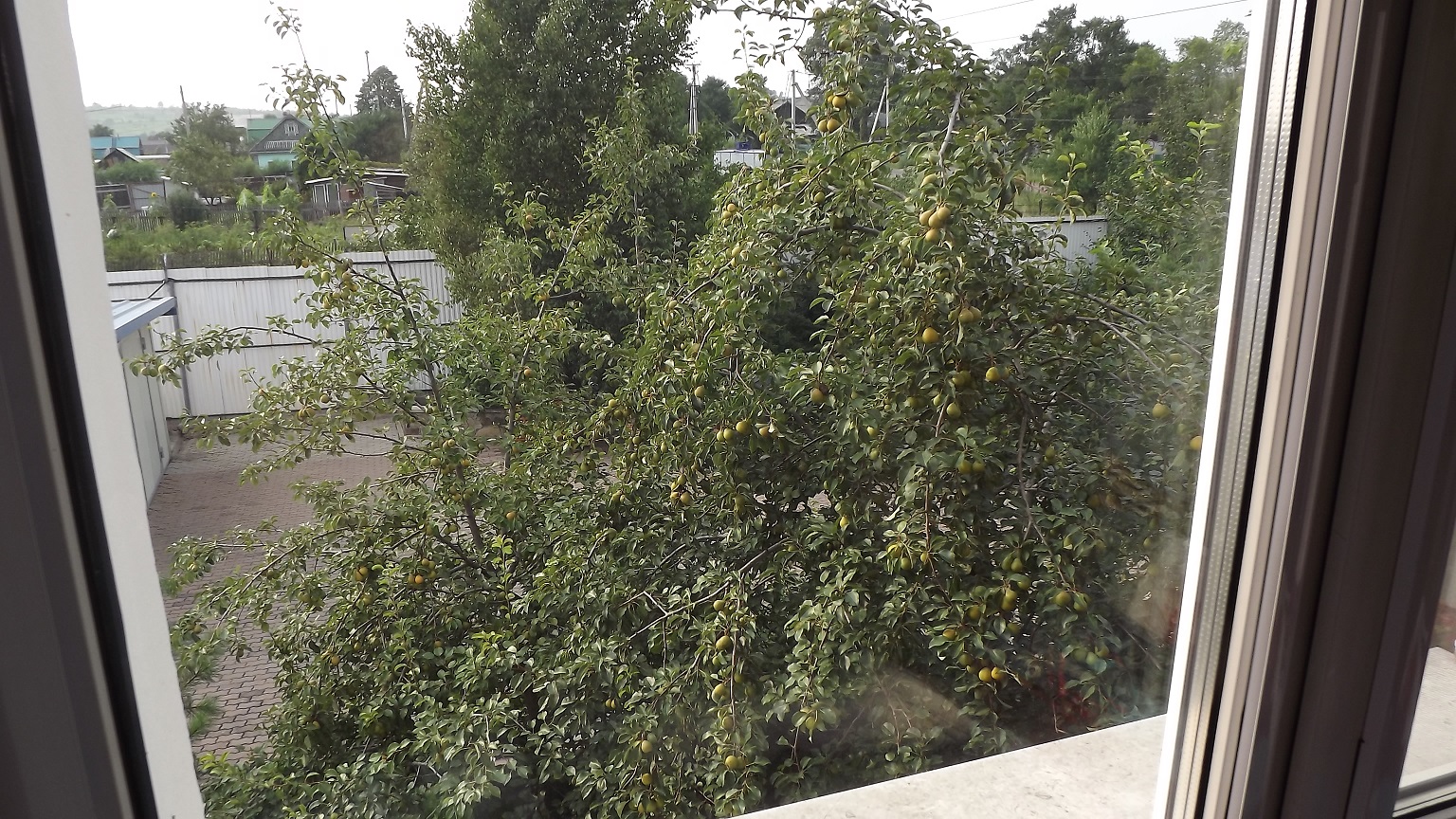 DSCF8748.jpg