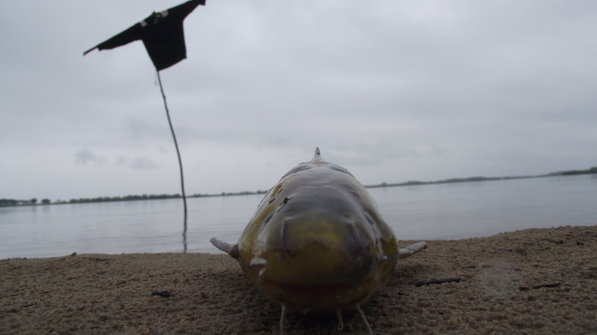 DSCF8845.JPG