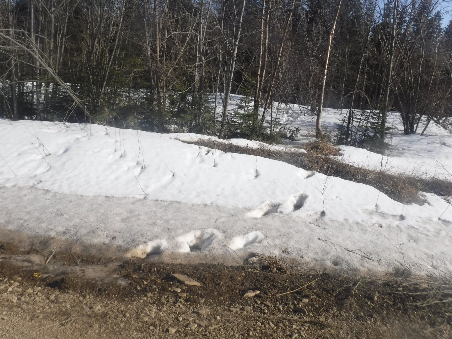 DSCF9003.JPG