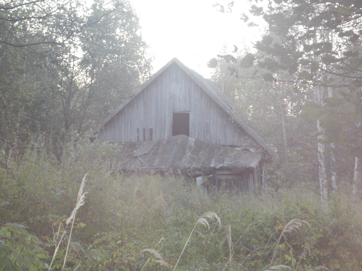DSCF9008.JPG