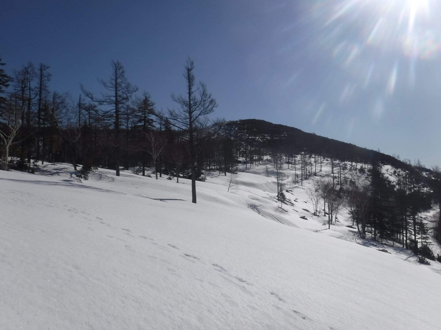 DSCF9009.JPG