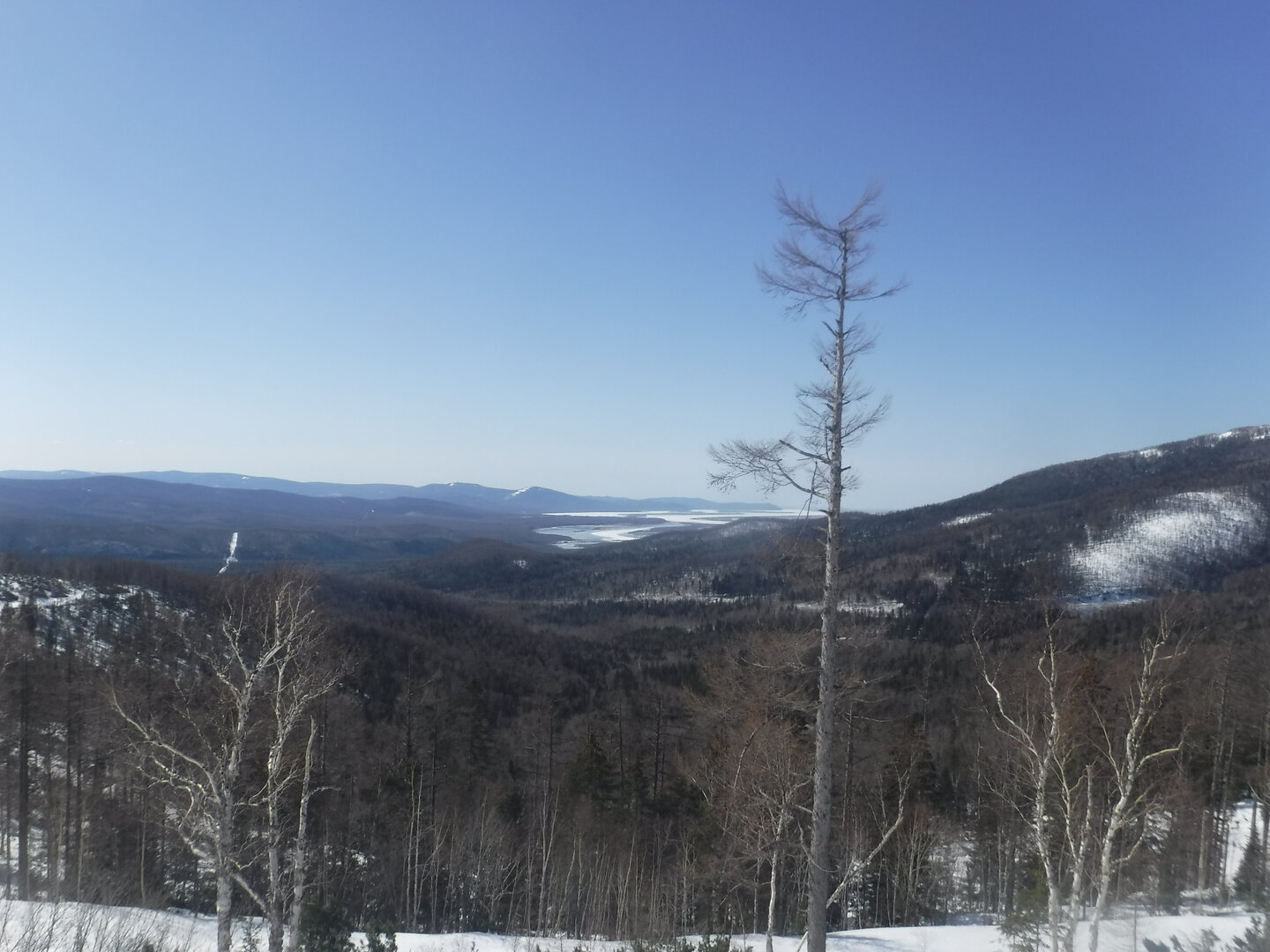 DSCF9010.JPG