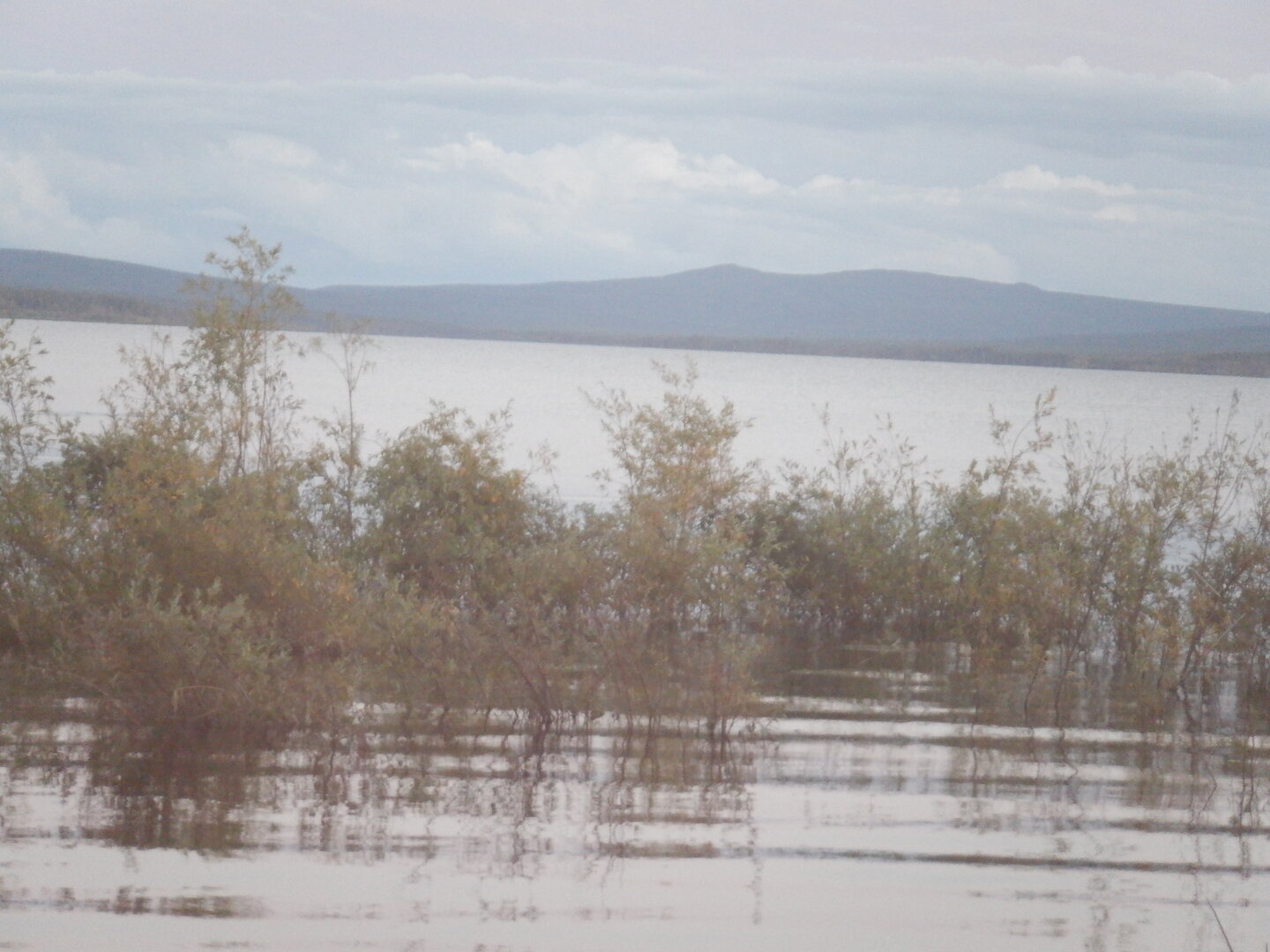 DSCF9011.JPG