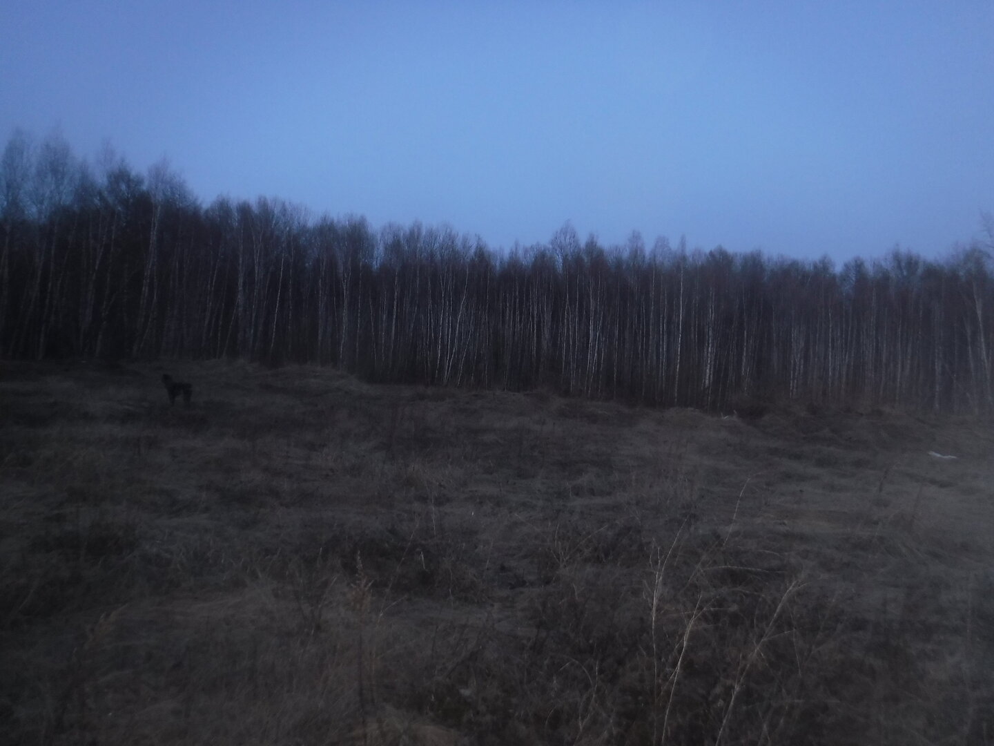 DSCF9016.JPG