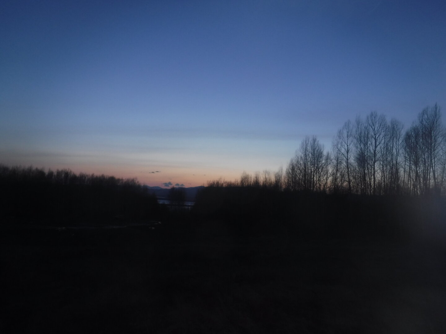 DSCF9017.JPG