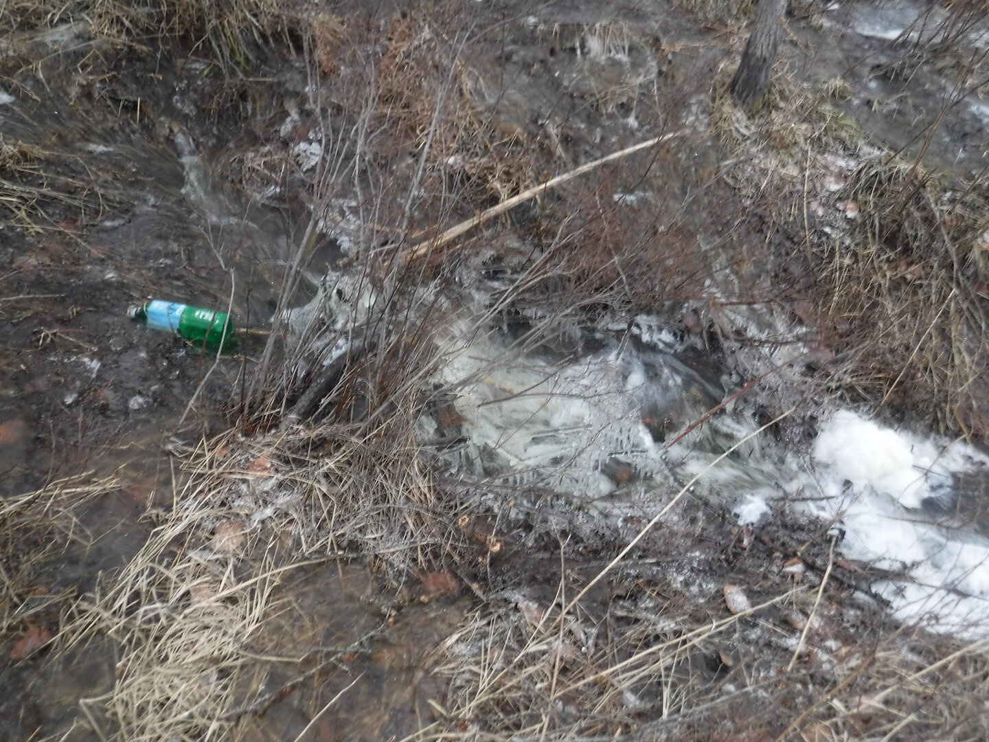 DSCF9027.JPG