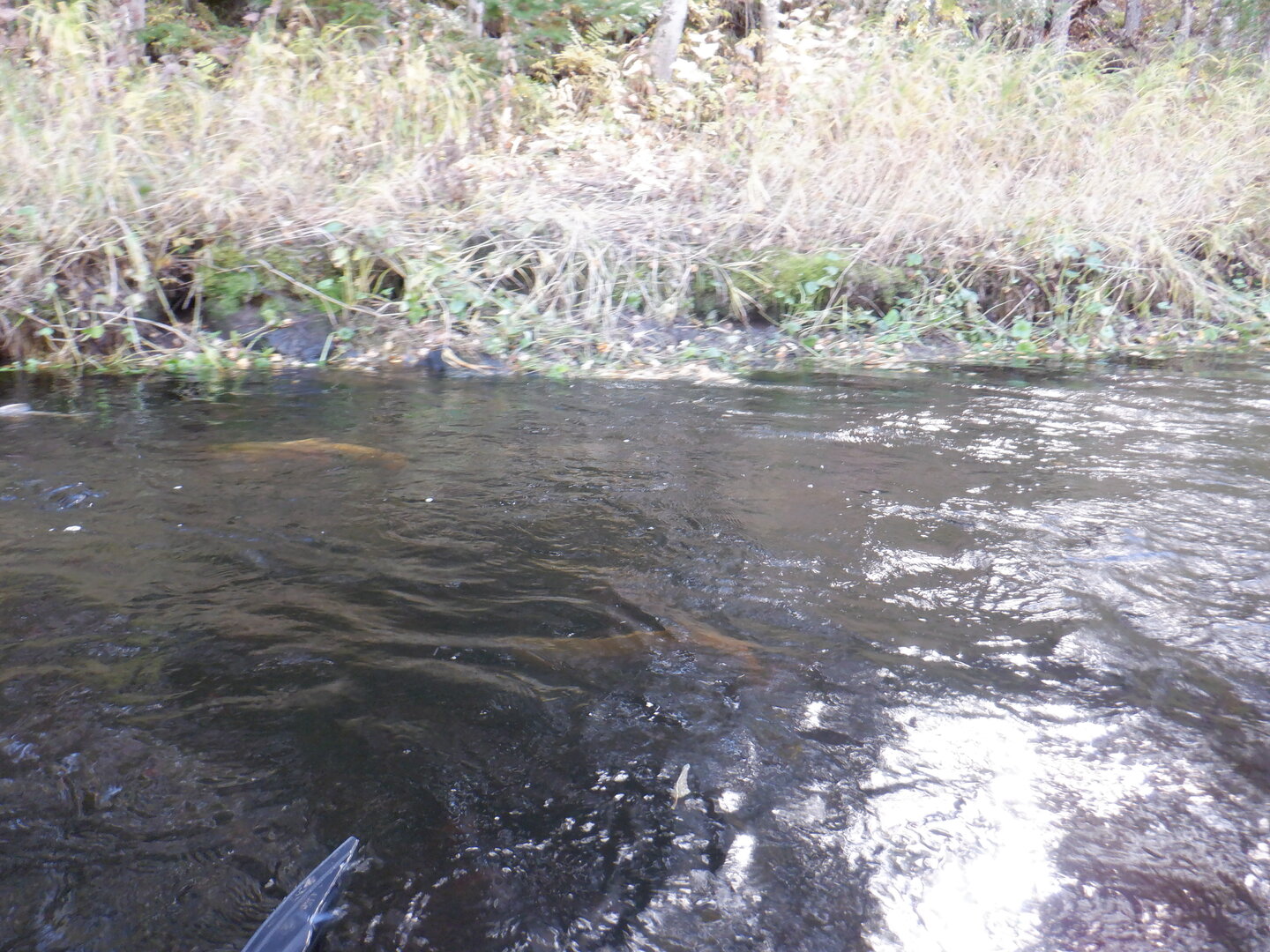 DSCF9030.JPG
