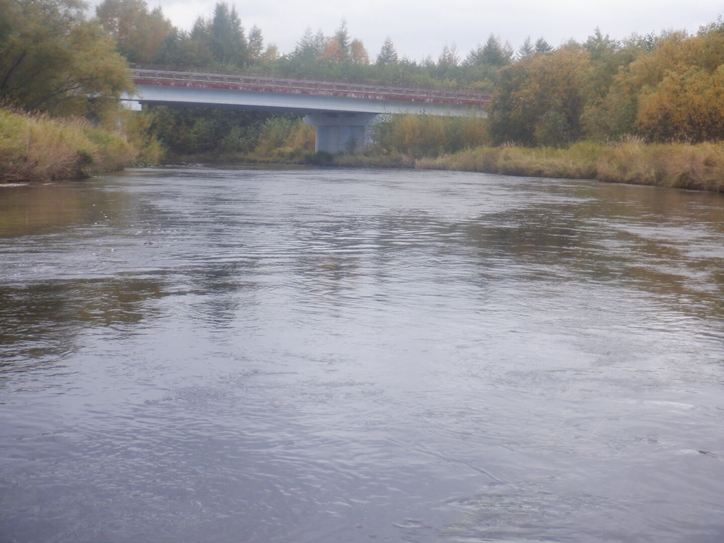 DSCF9038.JPG