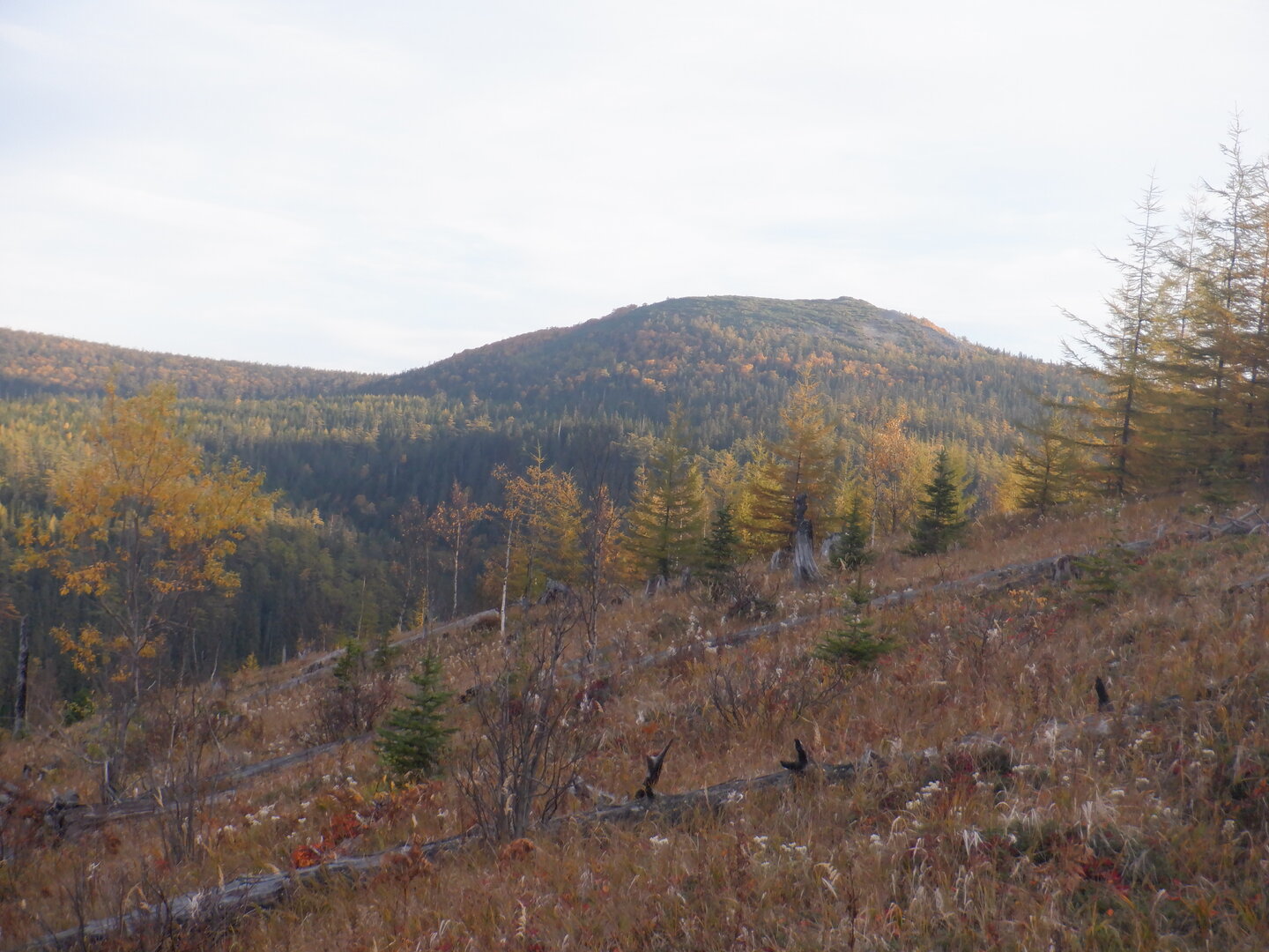 DSCF9045.JPG