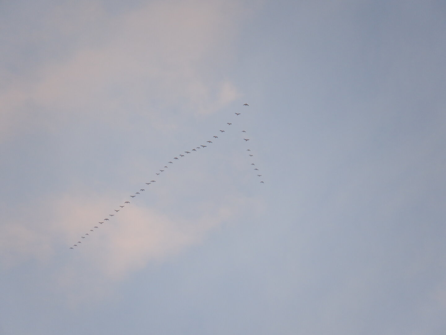 DSCF9047.JPG