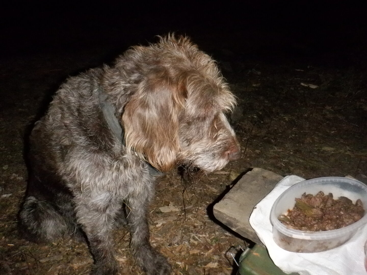 DSCF9051.JPG