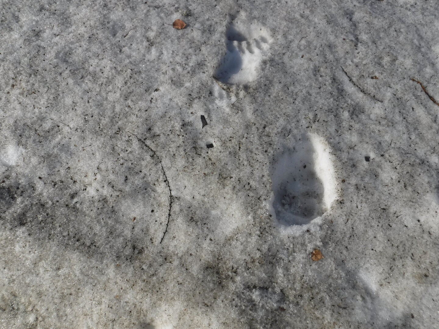 DSCF9052.JPG