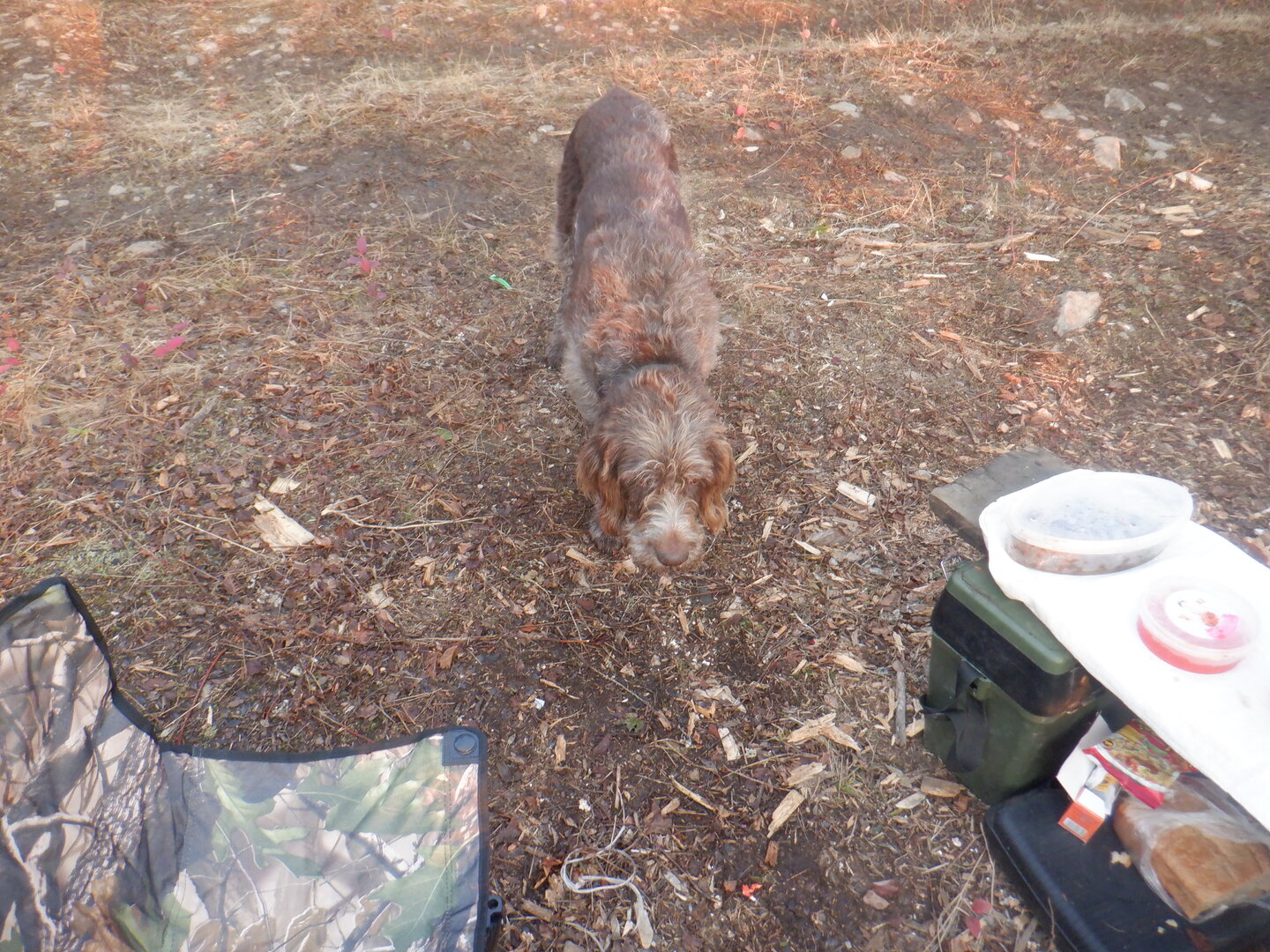 DSCF9053.JPG
