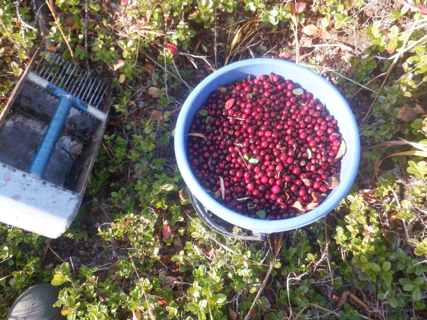 DSCF9062.JPG