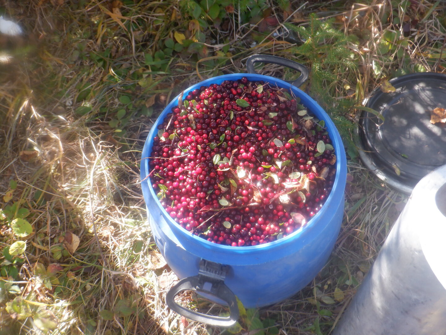 DSCF9064.JPG