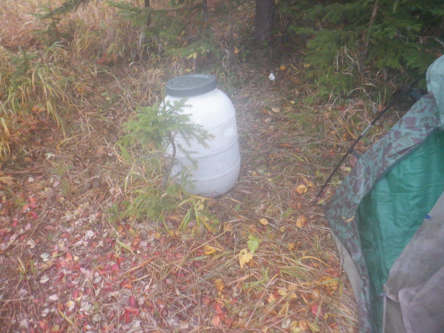DSCF9070.JPG