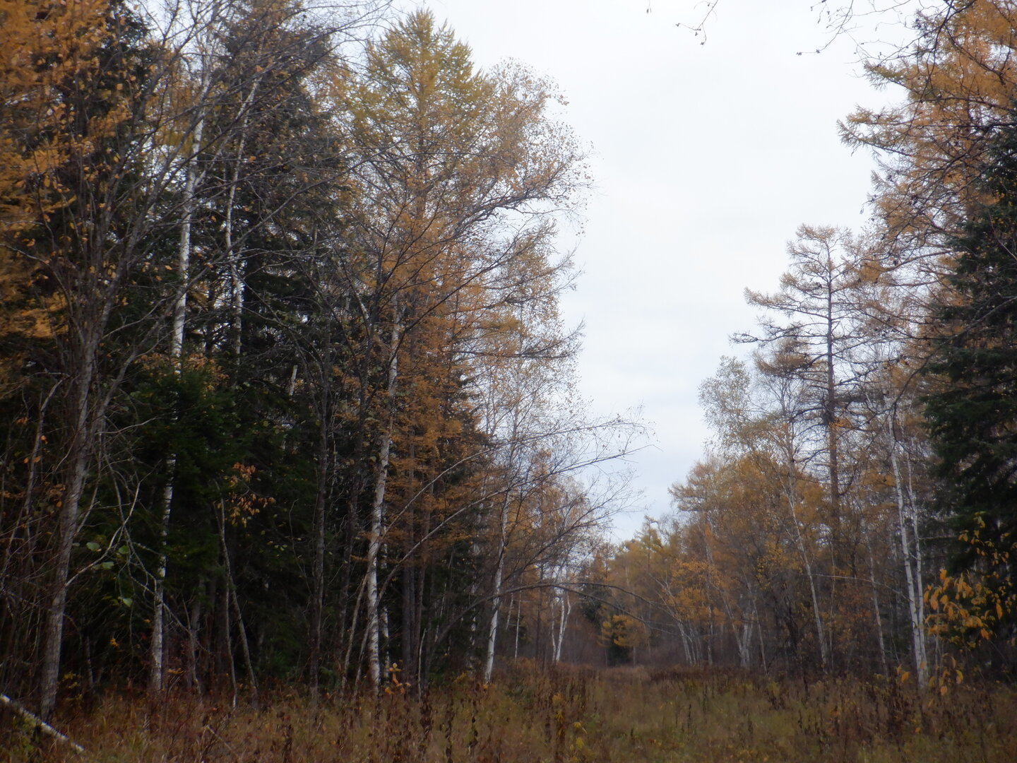 DSCF9077.JPG