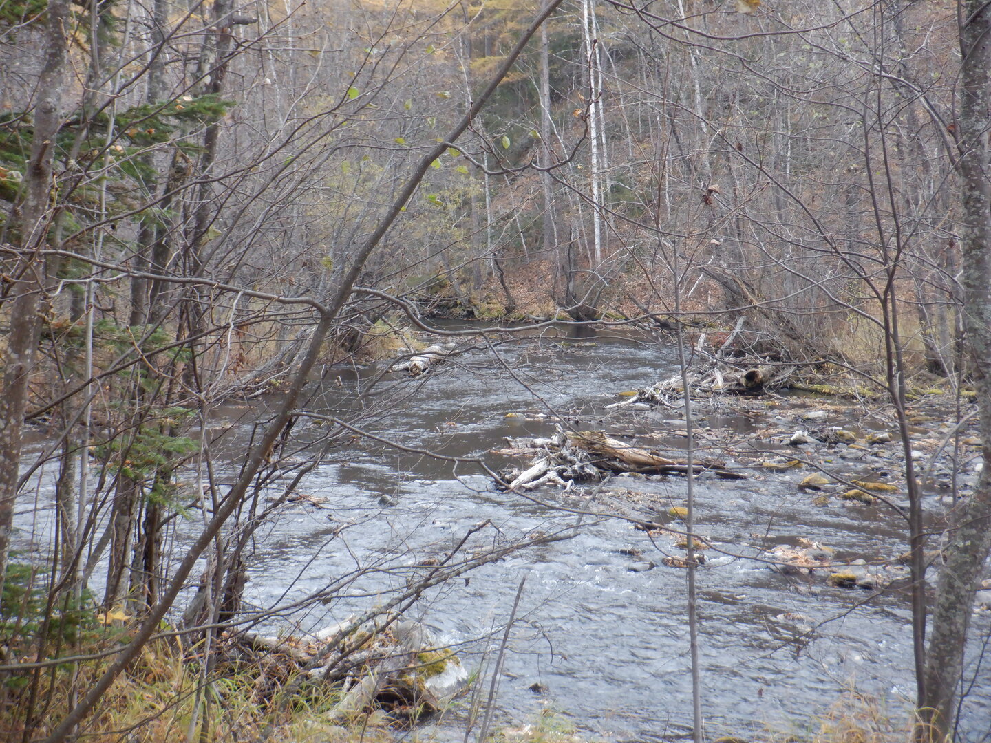DSCF9078.JPG